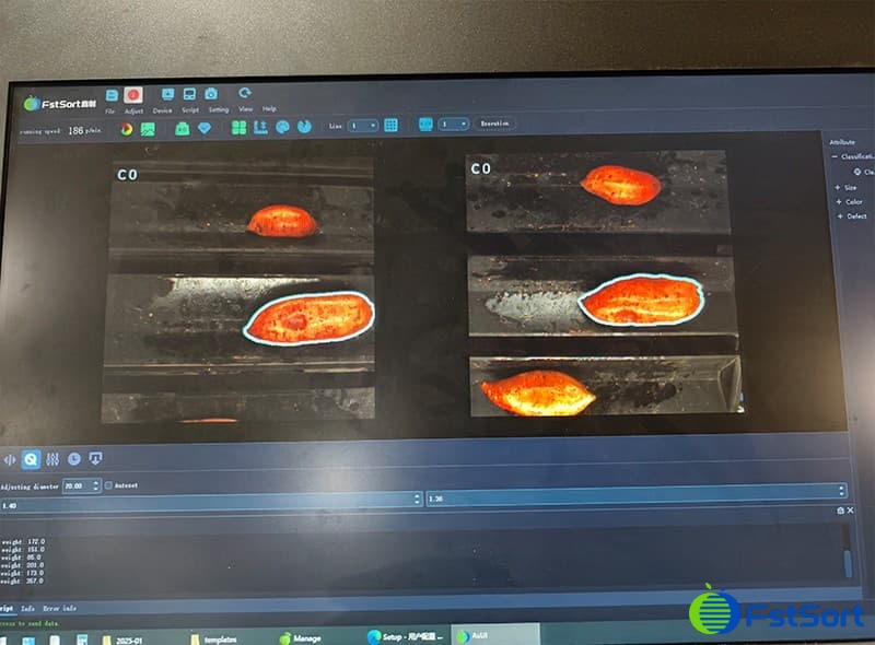 images/1739011749440sweet potato color grader.jpg